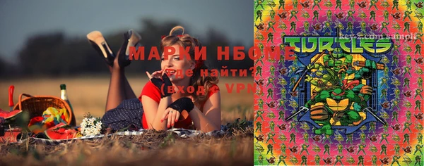 кокс Михайлов