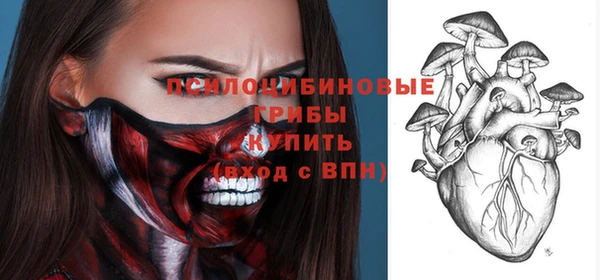 кокс Михайлов