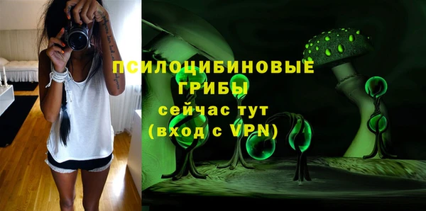 кокс Михайлов